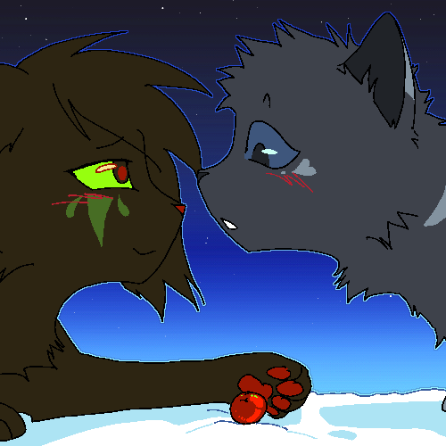 Hollyleaf and Cinderheart