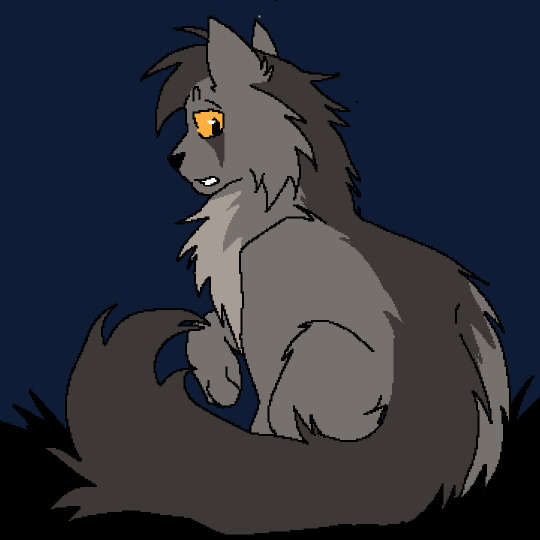 graystripe