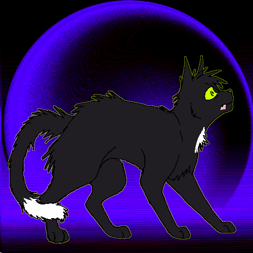 ravenpaw