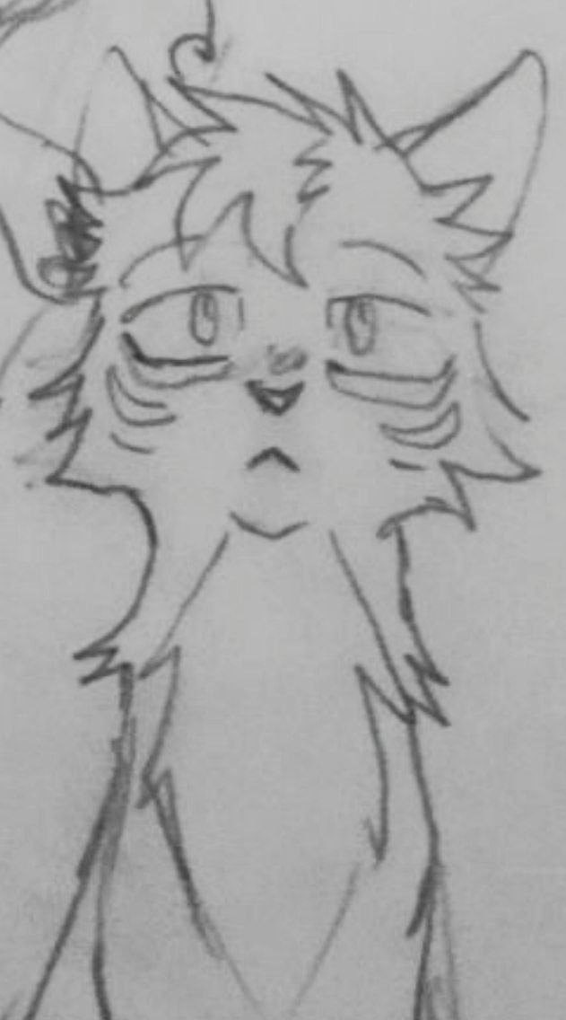 image of leafpool made with pencils on a paper